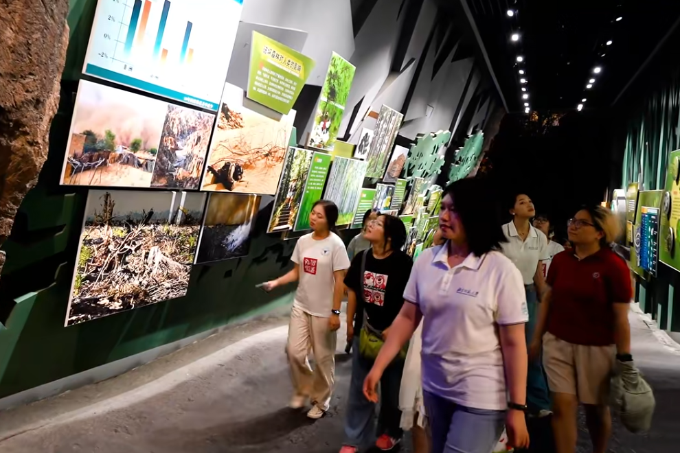 5-森林博物馆-参观.png